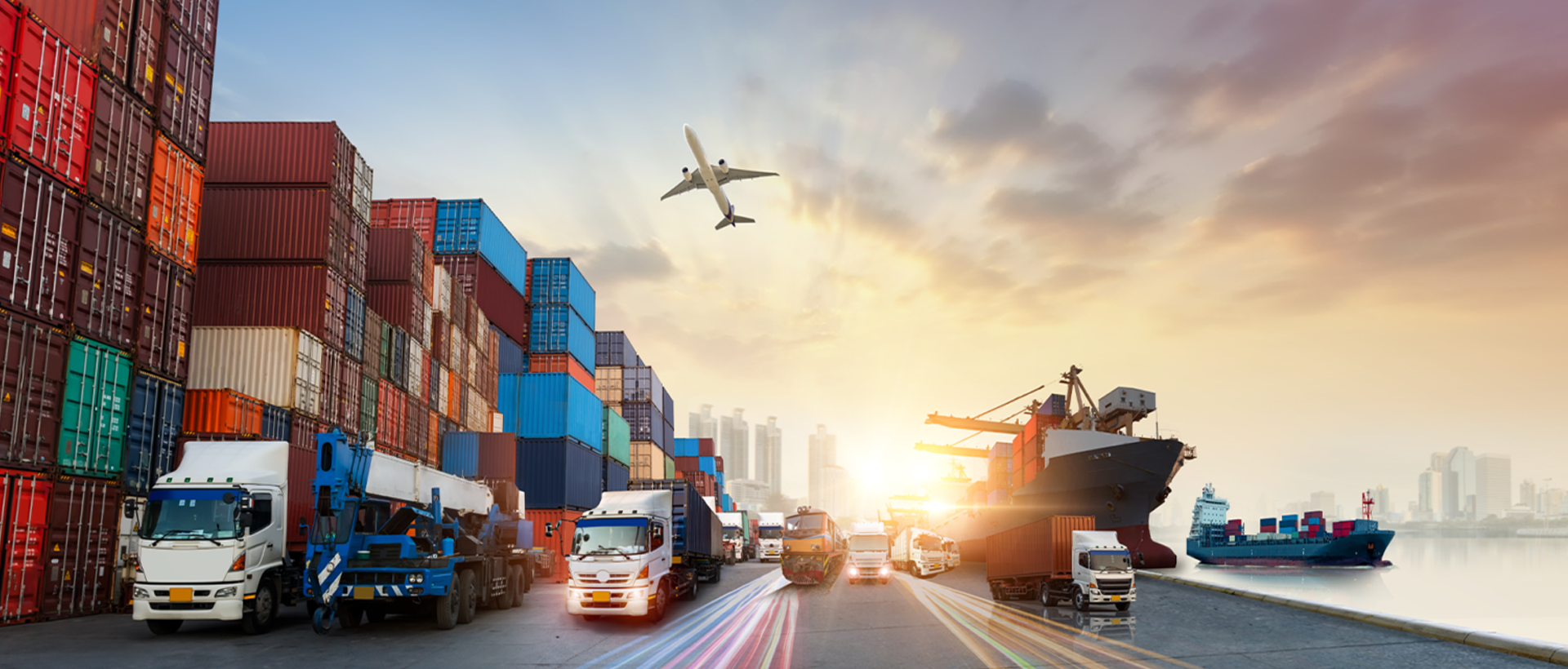 Uzman Ekip, Profesyonel Hizmet